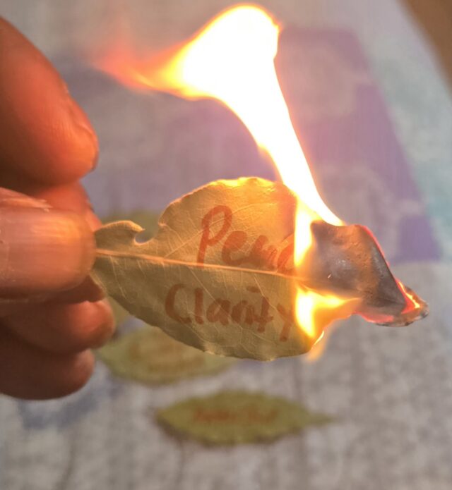 1111✅️✨️🔒