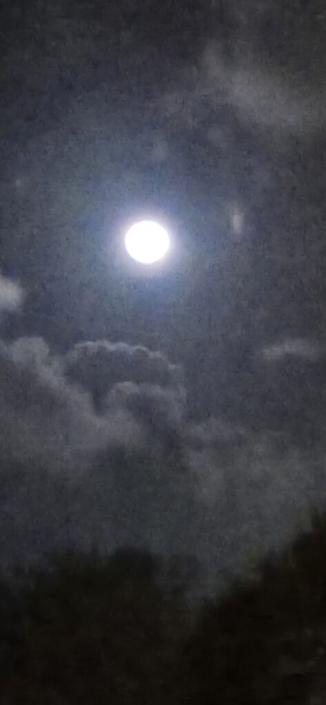 Obsessed with getting better